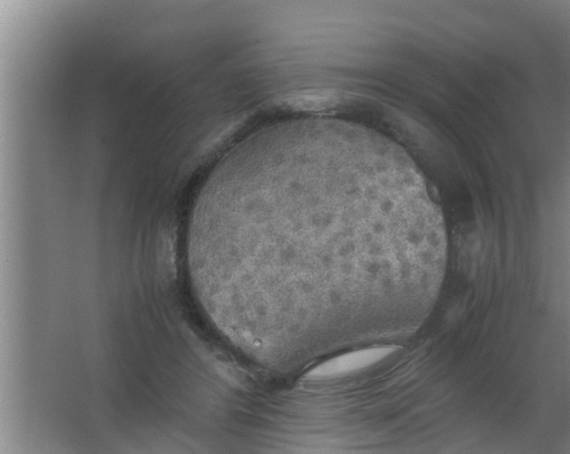 X0000063470404200602031905