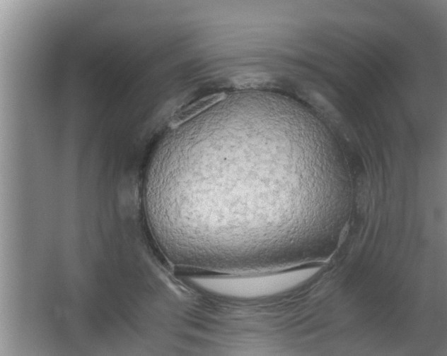 X0000063470405200602031905