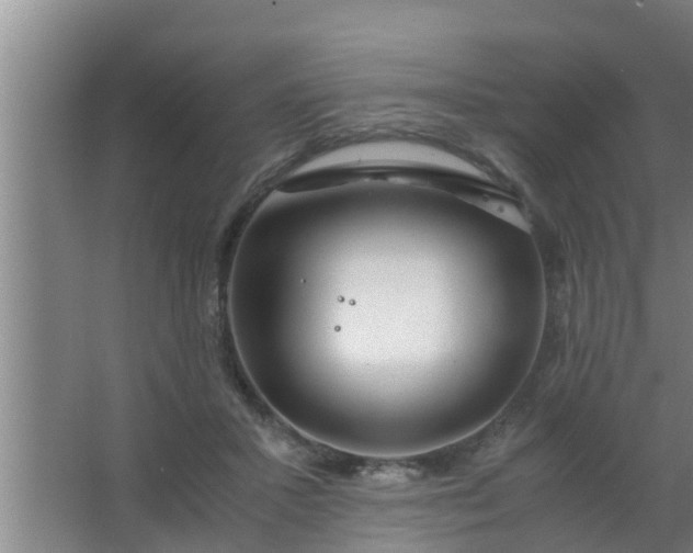 X0000063470407200602031905