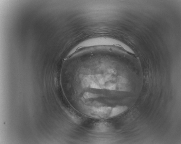 X0000063470408200602031905