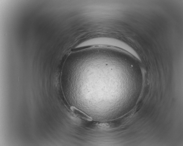 X0000063470409200602031905