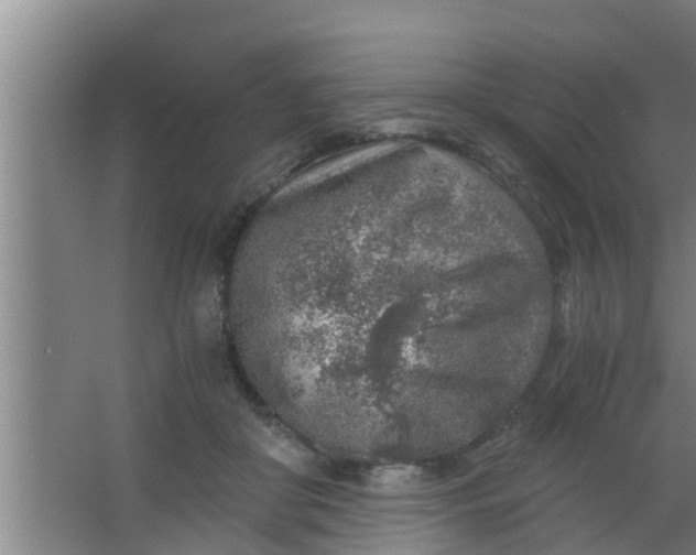 X0000063470410200602031905