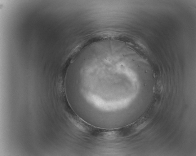 X0000063470411200602031905