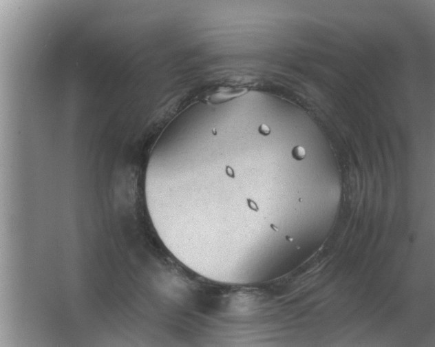 X0000063470412200602031905