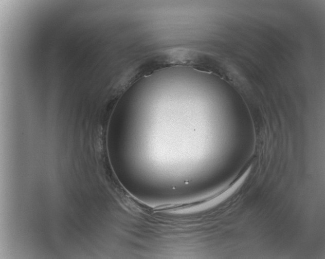 X0000063470413200602031905