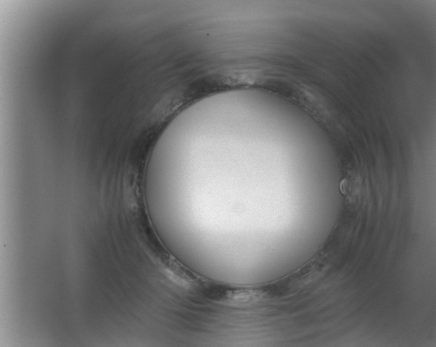 X0000063470414200602031905