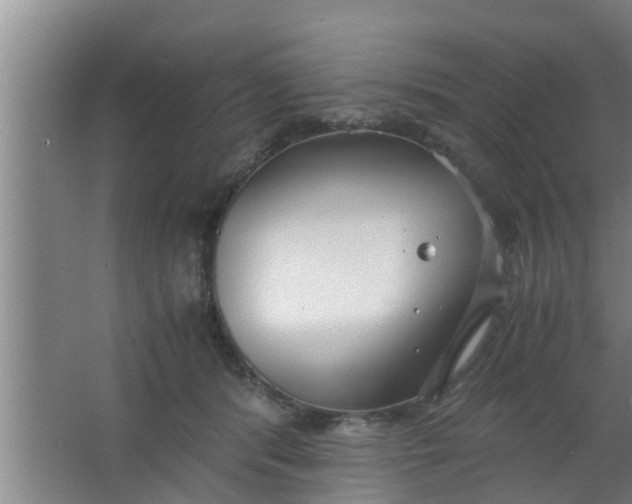 X0000063470416200602031905