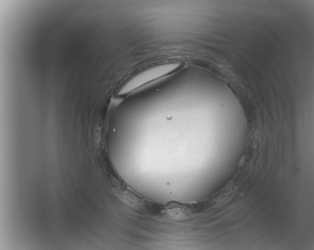 X0000063470417200602031905