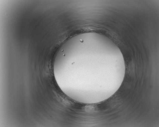 X0000063470418200602031905