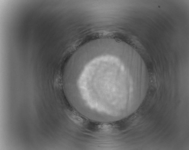 X0000063470419200602031905