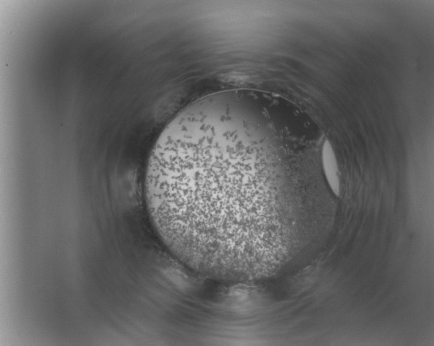 X0000063470420200602031905