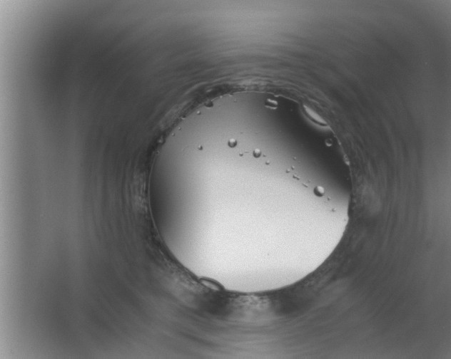 X0000063470421200602031905