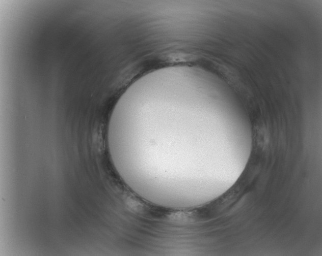 X0000063470422200602031905