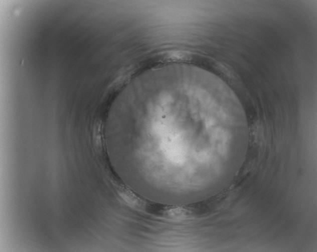 X0000063470423200602031905