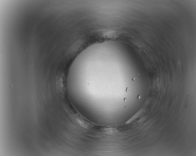 X0000063470424200602031905