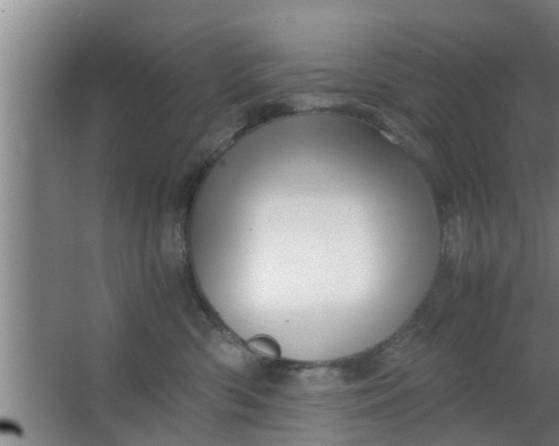 X0000063470426200602031904