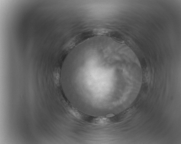 X0000063470427200602031904