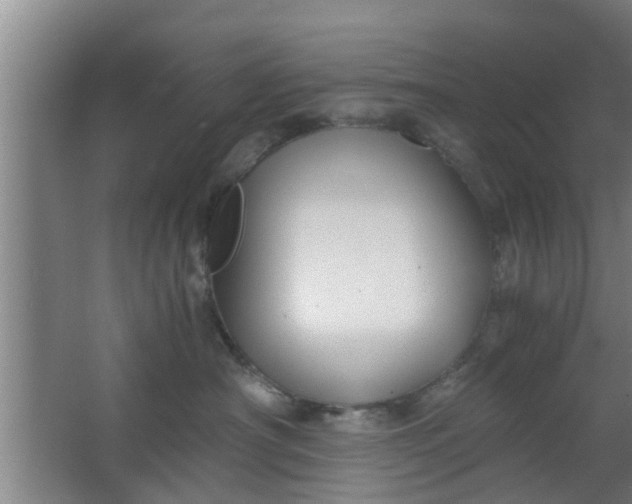 X0000063470430200602031904