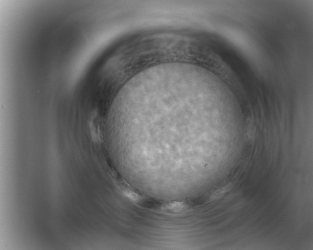 X0000063470431200602031904