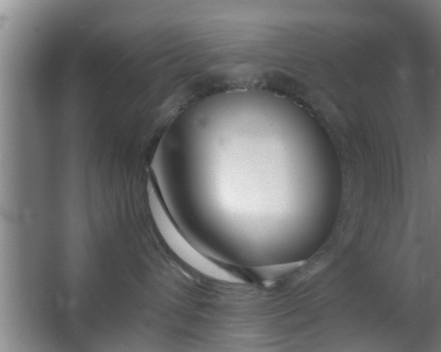 X0000063470432200602031904