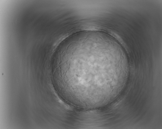 X0000063470433200602031904