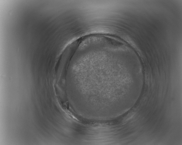 X0000063470434200602031904