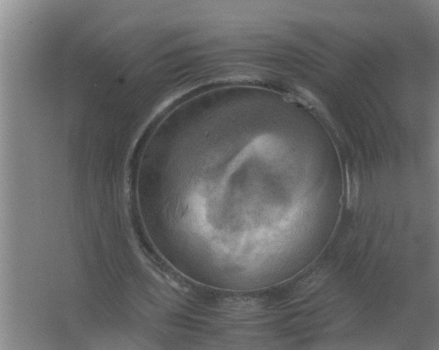 X0000063470435200602031904