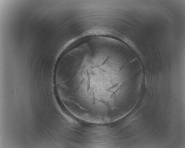 X0000063470438200602031904