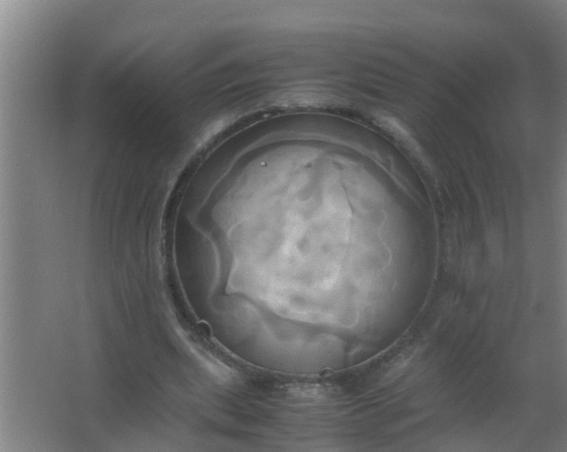 X0000063470439200602031904