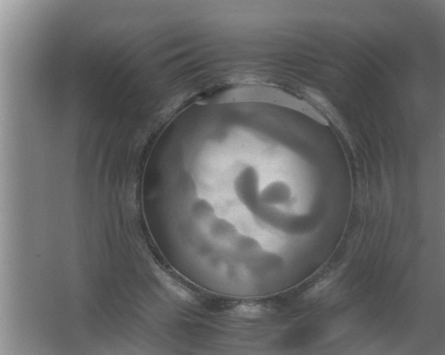 X0000063470441200602031904