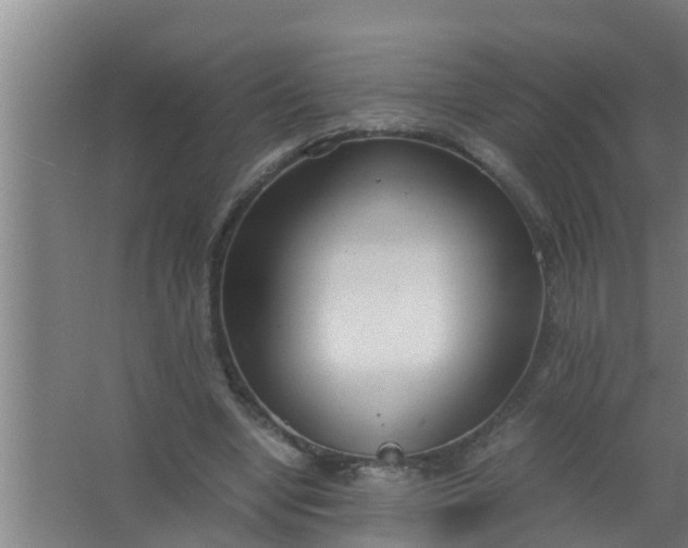 X0000063470442200602031904