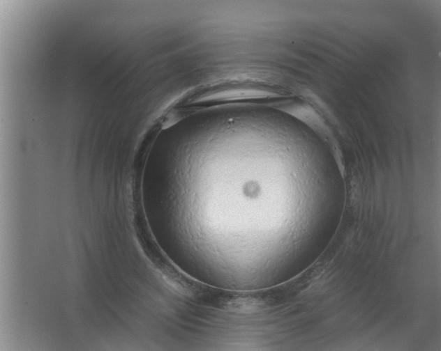 X0000063470444200602031904