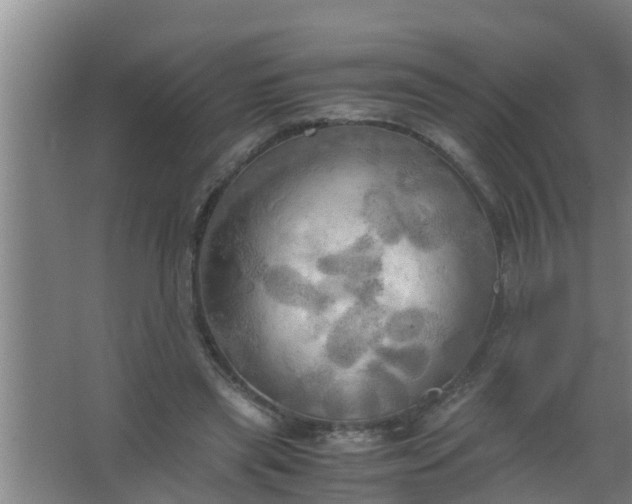 X0000063470445200602031904