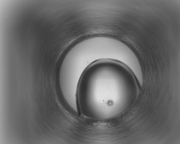 X0000063470448200602031904