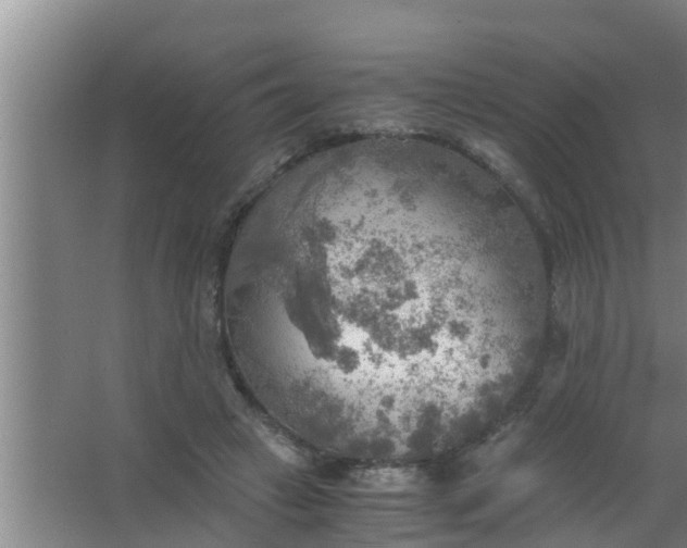 X0000063470449200602031904