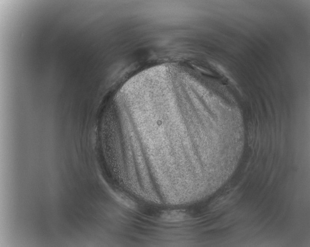 X0000063470451200602031904