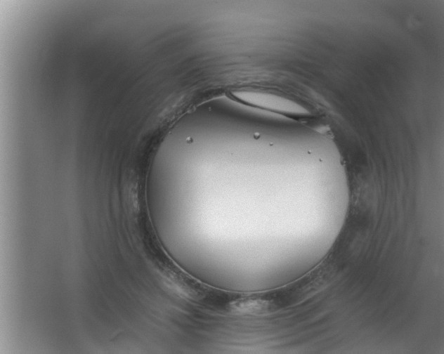 X0000063470452200602031904