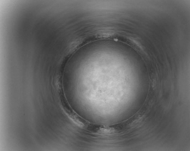 X0000063470455200602031904