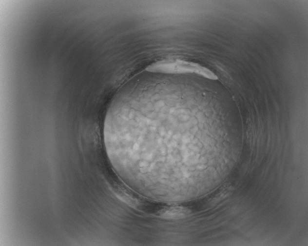 X0000063470459200602031904