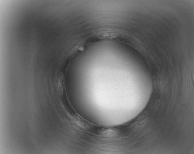 X0000063470460200602031904