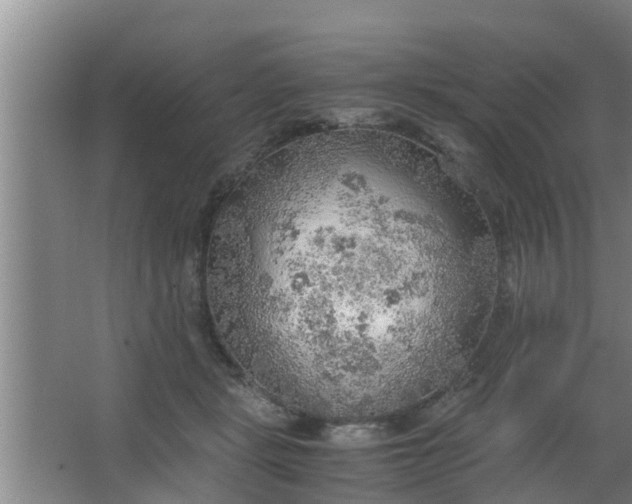 X0000063470461200602031904