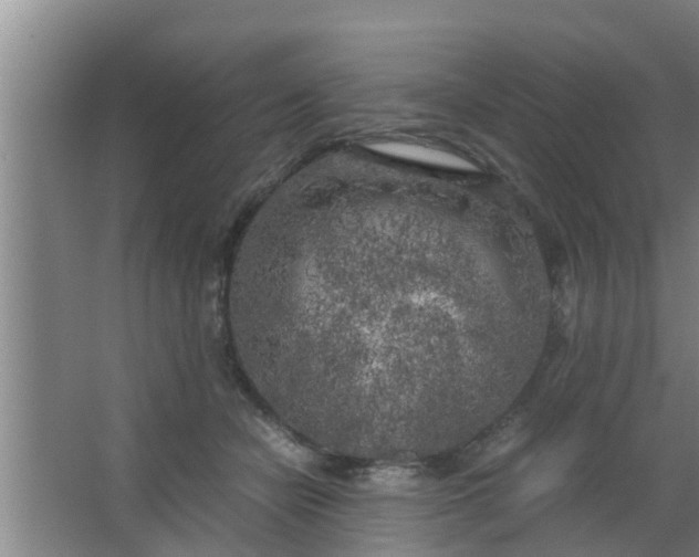 X0000063470462200602031904