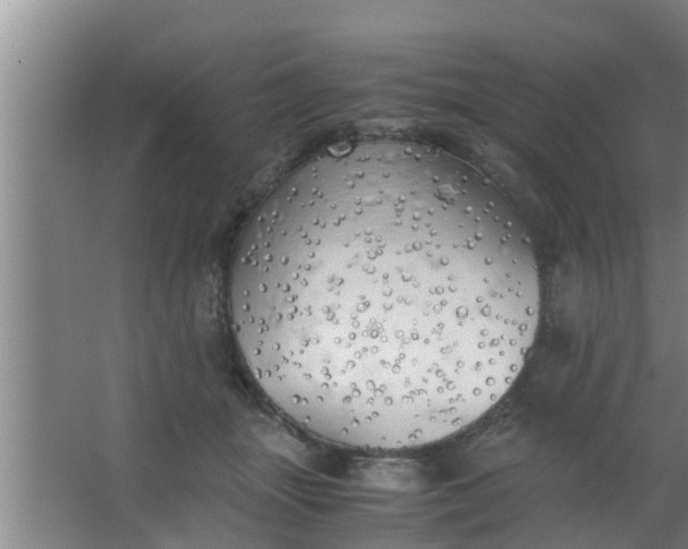 X0000063470463200602031904