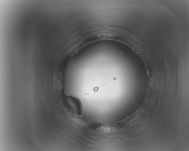 X0000063470464200602031904