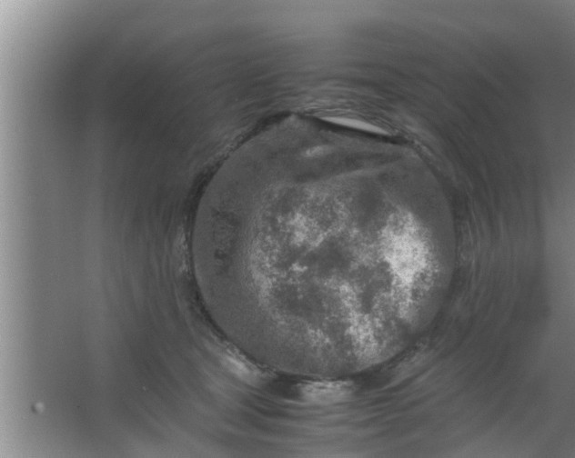 X0000063470465200602031904