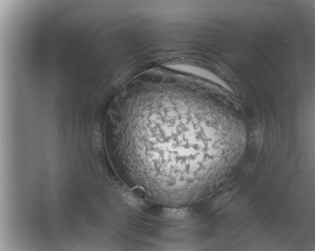 X0000063470469200602031904