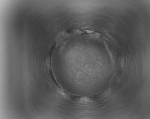 X0000063470475200602031904