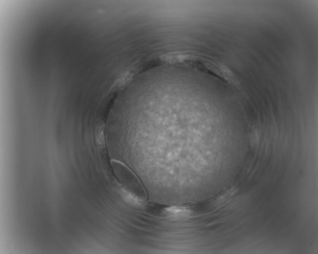 X0000063470477200602031904