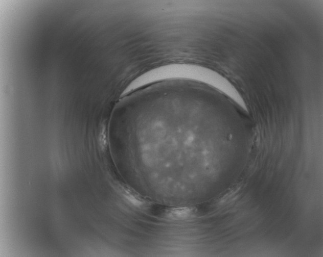 X0000063470479200602031904