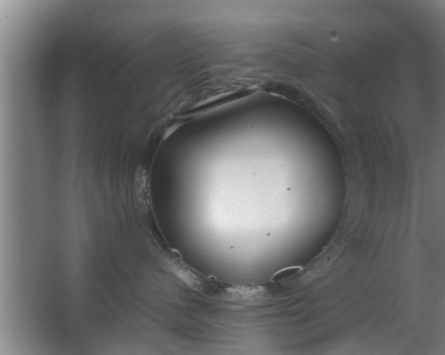 X0000063470480200602031904